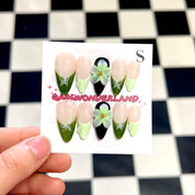 Butterfly Moss